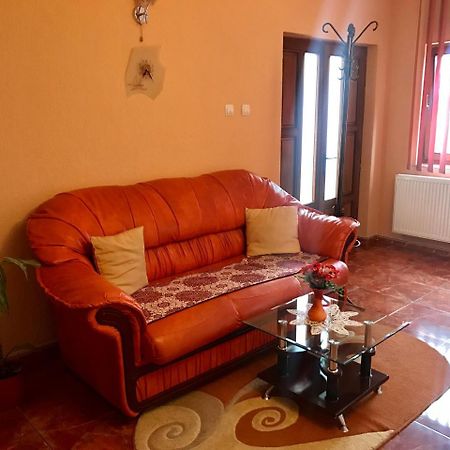 Vila La Izvor Petresti 외부 사진