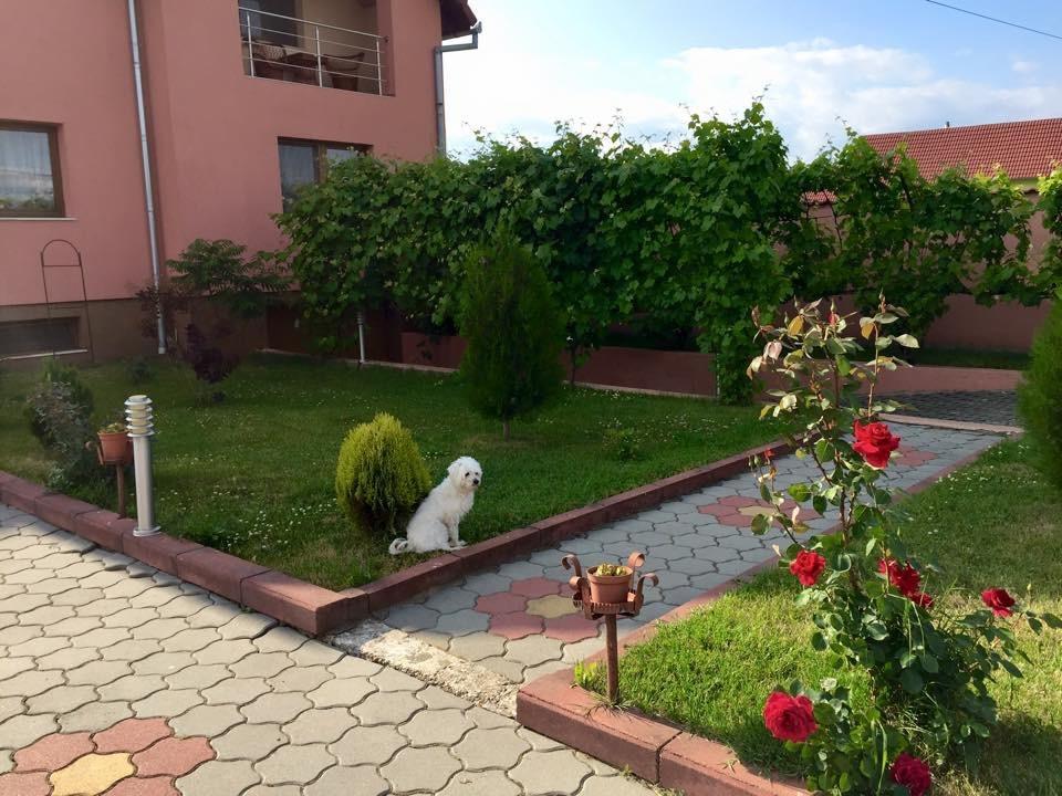 Vila La Izvor Petresti 외부 사진