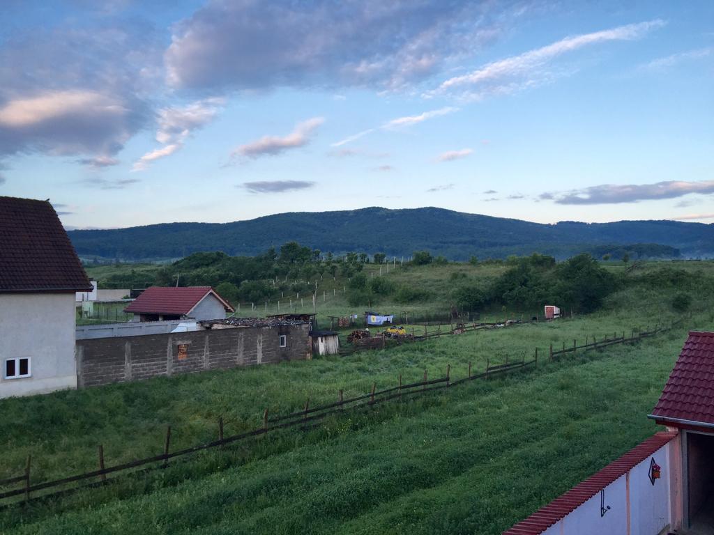 Vila La Izvor Petresti 외부 사진