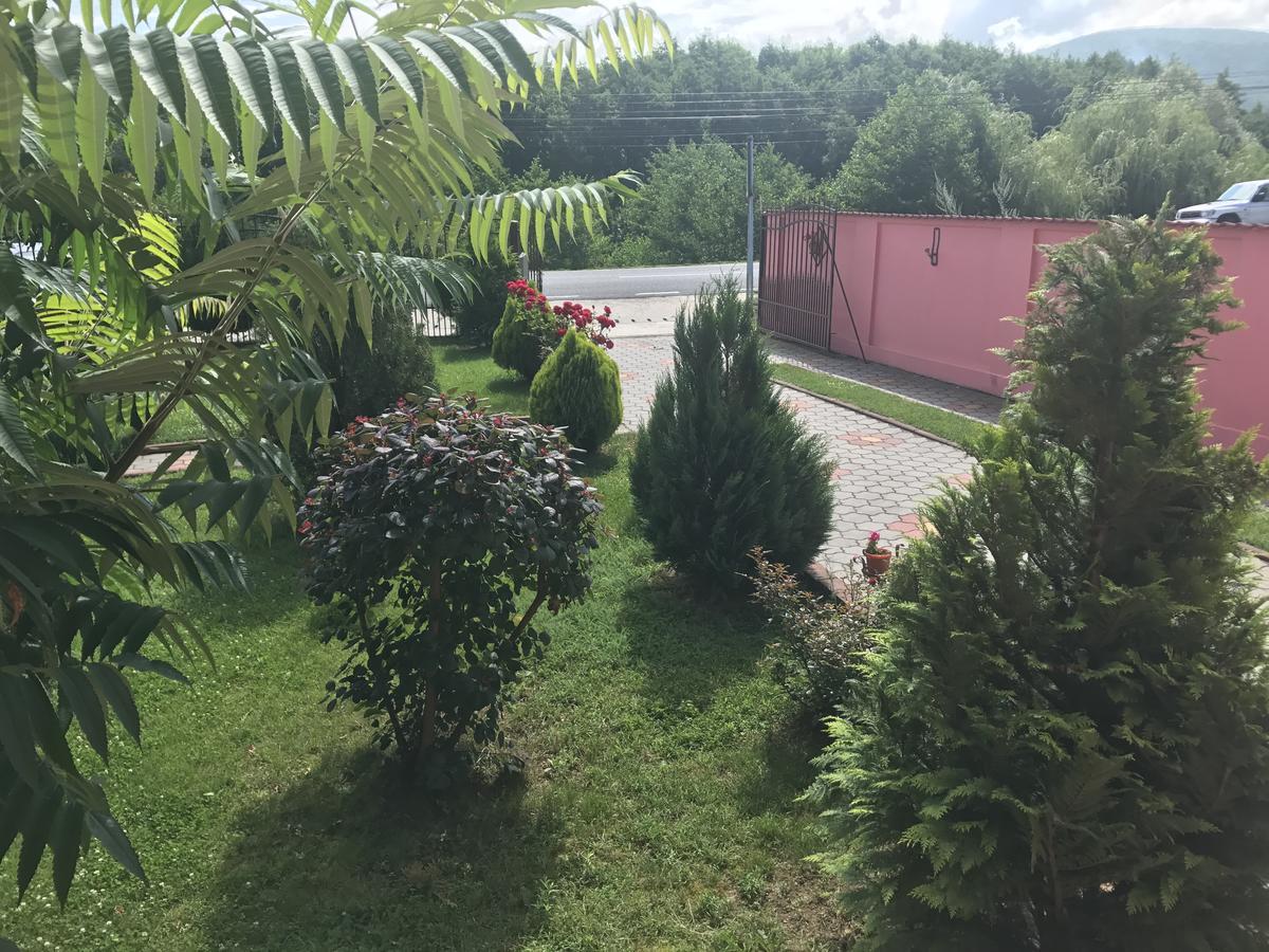 Vila La Izvor Petresti 외부 사진