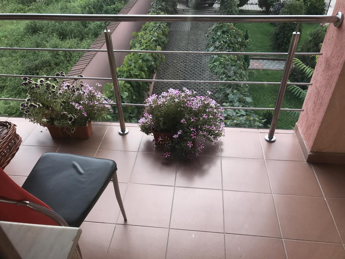 Vila La Izvor Petresti 외부 사진